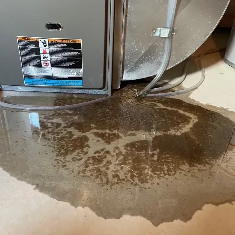 Appliance Leak Cleanup in Calico Rock, AR